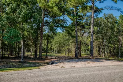 31801 Reids Prairie Road, Waller, TX 77484 - Photo 2