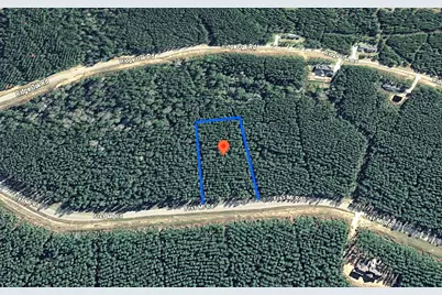 16049 Forest Mill Road, Willis, TX 77378 - Photo 6