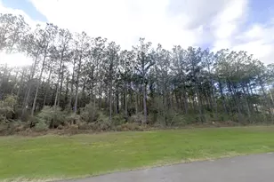 16049 Frst Ml Rd, Willis, TX 77378 - Photo 10