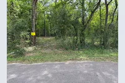 24820 Marks Road, Splendora, TX 77372 - Photo 4