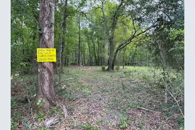 24820 Marks Road, Splendora, TX 77372 - Photo 2