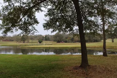 Lot 32 Hickory Ridge Drive, Normangee, TX 77871 - Photo 14
