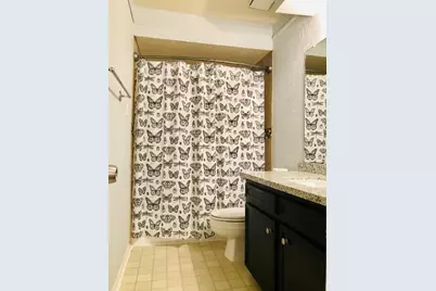 29021 Cherrywood Lane, Shenandoah, TX 77381 - Photo 16