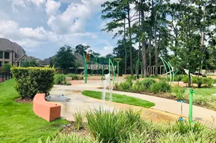 29021 Cherrywood Ln, Shenandoah, TX 77381 - Photo 32