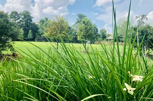 29021 Cherrywood Ln, Shenandoah, TX 77381 - Photo 28