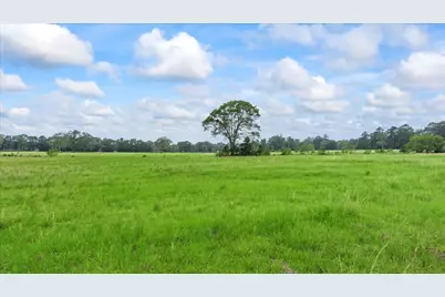 2760 Stringtown Road, Shepherd, TX 77371 - Photo 30