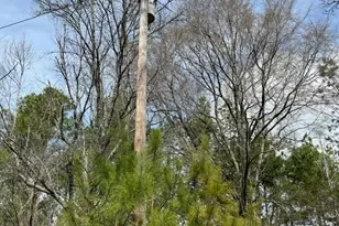 Tract 1 Lloyd Walker Rd, Huntington, TX 75949 - Photo 8