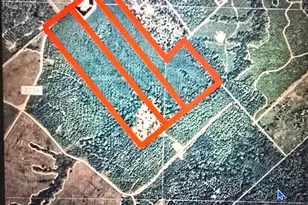 Tract 1 Lloyd Walker Rd, Huntington, TX 75949 - Photo 10