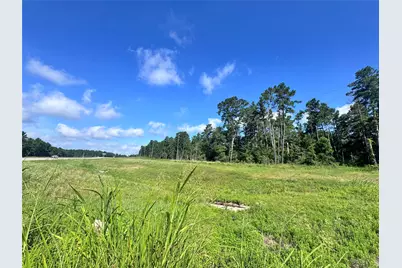 0035 Hwy 249, Plantersville, TX 77363 - Photo 4