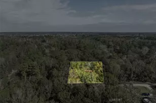 136 Warbler Ln, Livingston, TX 77351 - Photo 26