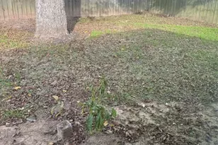 4509 Larkspur St, Houston, TX 77051 - Photo 14