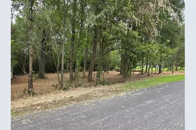 Tbd Paradise Drive-Gulls Nest Lane, Coldspring, TX 77331 - Photo 6