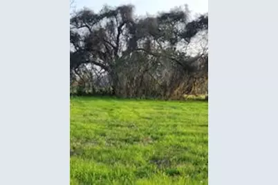 267 / 254 Shetland Court, Angleton, TX 77515 - Photo 2