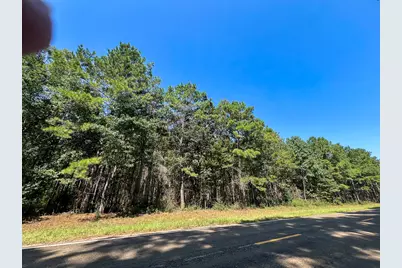 T-1 Fm 256, Woodville, TX 75979 - Photo 10