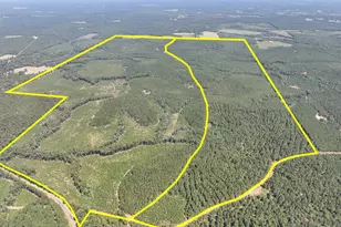 T-1 Fm 256, Woodville, TX 75979 - Photo 1