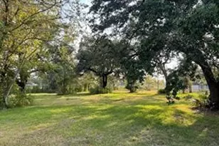 0 Travis Ave, Sweeny, TX 77480 - Photo 6