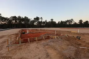 11436 Billy Bobs St, Montgomery, TX 77316 - Photo 12