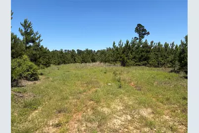 0 Robertson Road, Lovelady, TX 75851 - Photo 12