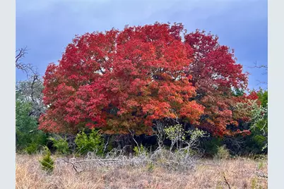 3018 County Road 3790, Lampasas, TX 76550 - Photo 18