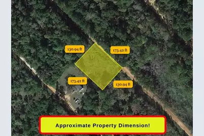 1544 Ole Long Pull Road, Livingston, TX 77351 - Photo 6