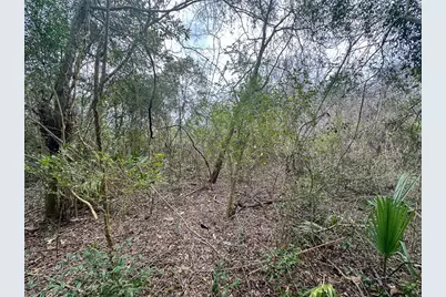 0 Redbud Drive, Conroe, TX 77302 - Photo 8