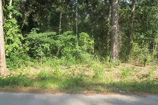 31127 Primrose Ln, Magnolia, TX 77354 - Photo 1