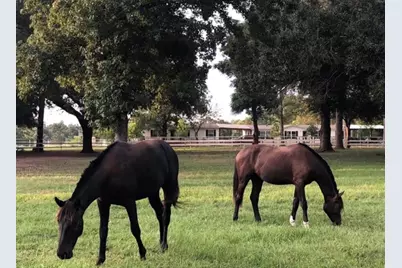 26427 1/2 Dobbin Huffsmith Rd Road, Magnolia, TX 77354 - Photo 2