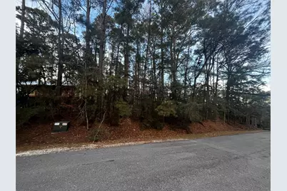 26 Sunny Hill Drive, Coldspring, TX 77331 - Photo 2