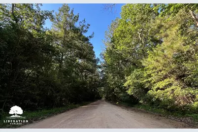 Tbd John Warren Lot 4 Road, Coldspring, TX 77331 - Photo 16