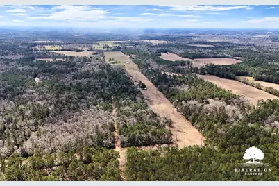 Tbd John Warren Lot 4 Road, Coldspring, TX 77331 - Photo 14