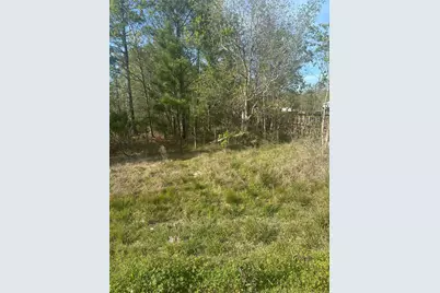 867 County Road 3415, Cleveland, TX 77327 - Photo 6