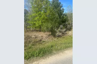 867 County Road 3415, Cleveland, TX 77327 - Photo 2