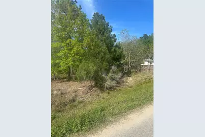 867 County Road 3415, Cleveland, TX 77327 - Photo 10