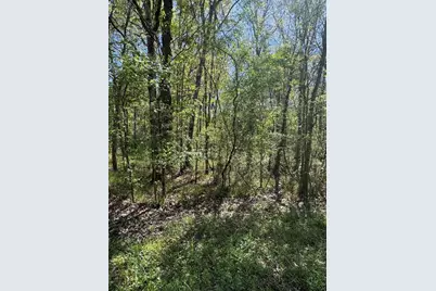 Tbd Cr 2505, Liberty, TX 77575 - Photo 1