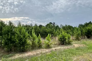 576 County Rd 3773, Cleveland, TX 77327 - Photo 1