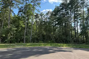 15707 Grey Hawk Ln, Willis, TX 77378 - Photo 4