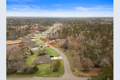 18315 Alana Nell Court, Willis, TX 77378 - Photo 8