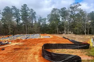 18315 Alana Nell Ct, Willis, TX 77378 - Photo 6