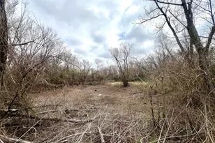 283 County Rd, Kosse, TX 76653 - Photo 4