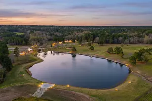 10733 Ruger Rd, Willis, TX 77378 - Photo 8