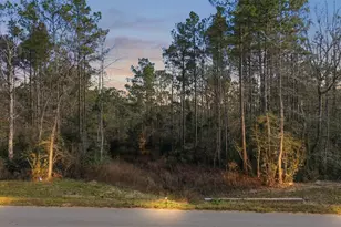 10733 Ruger Rd, Willis, TX 77378 - Photo 1