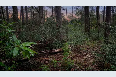 10733 Ruger Road, Willis, TX 77378 - Photo 4