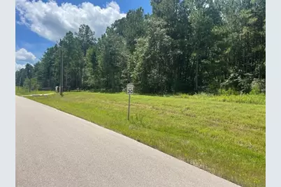 717 Lonestar Road, Huntsville, TX 77340 - Photo 6