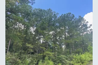 717 Lonestar Road, Huntsville, TX 77340 - Photo 4