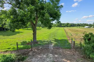 845 County Rd 281, Sargent, TX 77414 - Photo 4