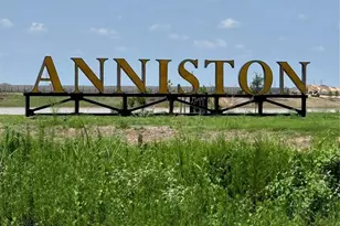 26318 Snowpeak Ave, Katy, TX 77493 - Photo 38