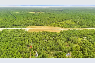 0 County Road 201 Loop, Plantersville, TX 77363 - Photo 8