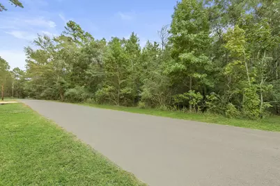 0 County Road 201 Loop, Plantersville, TX 77363 - Photo 2
