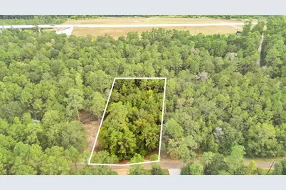 0 County Road 201 Loop, Plantersville, TX 77363 - Photo 10