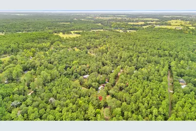 0 County Road 201 Loop, Plantersville, TX 77363 - Photo 14